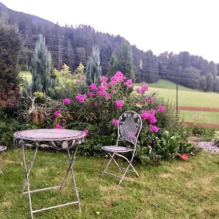 Schwalbenwandblick *