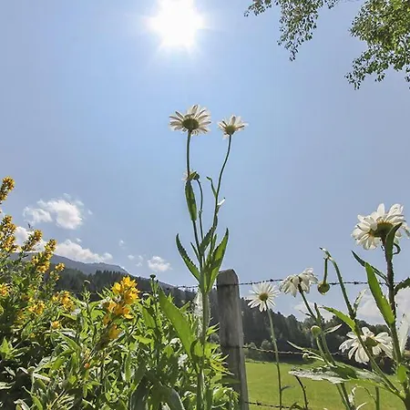 Schwalbenwandblick Apartment Saalfelden