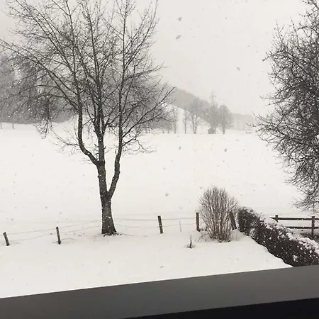Apartment Schwalbenwandblick Saalfelden